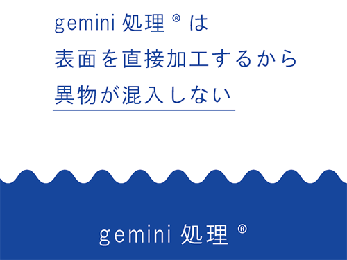 gemini処理